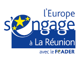 Logo institutionnel L'Europe s'engage à La Réunion avec le fonds FEADER